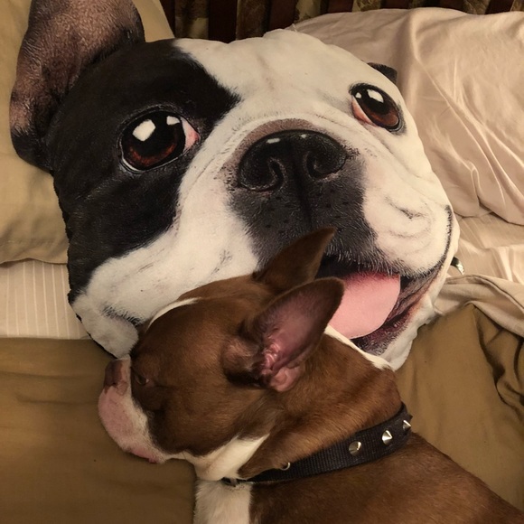 Hooty & Capt Nemo; rescued friends extraordinaire! - Picture 9 of 14